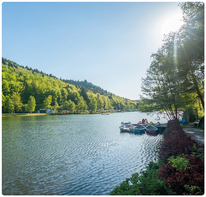 Blick ber einen breiten See an einem sonnigen Nachmittag. Rechts im Vordergrund liegt ein kleiner Steg mit mehreren festgemachten Ruder- und Tretbooten in Blau- und Rott nen. Das Wasser zeigt feine Wellen und reflektiert das Licht der Sonne, die rechts oben knapp im Bild steht. Links und im Hintergrund steigt ein dicht bewaldeter Hang mit frisch gr nem Laub auf; am Ufer sind einzelne B ume, eine Wiese sowie ein kleines wei es Geb ude und vereinzelt parkende Wohnwagen oder Zelte zu erkennen. Rechts am Ufer wachsen Str ucher und B ume, deren  ste zum See hin berragen. Die Szene wirkt ruhig, sommerlich und einladend; Gesamteindruck: Freizeit- und Erholungslandschaft am Wasser.