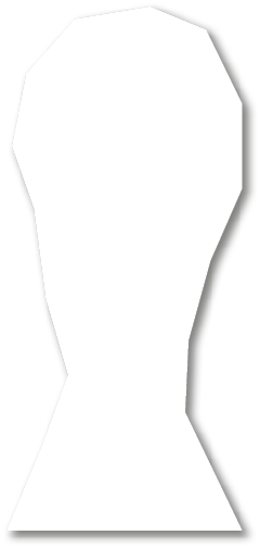 Polygon