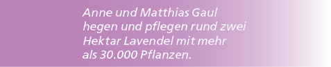 Anne und Matthias Gaul hegen und pflegen rund zwei Hektar Lavendel mit mehr als 30.000 Pflanzen. 
