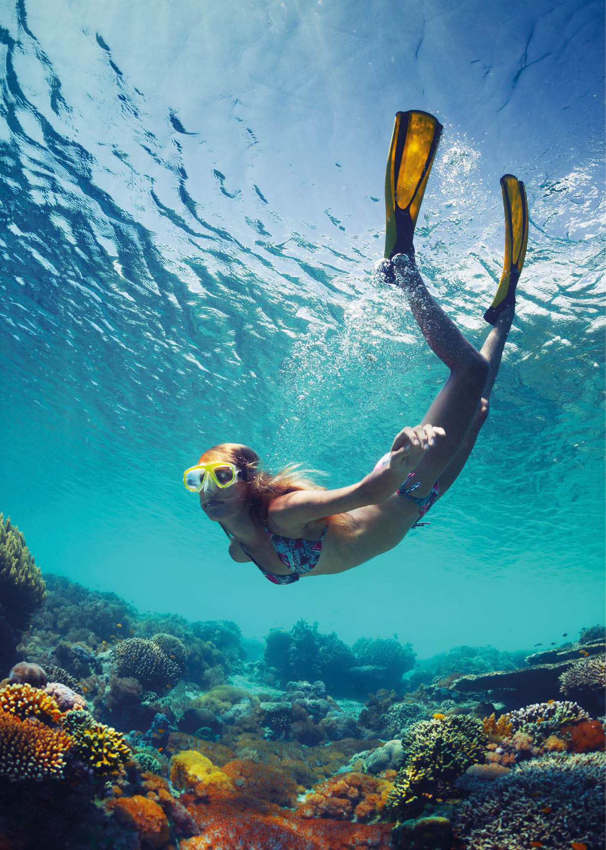 Eine Person mit Taucherbrille und Flossen schwimmt unter Wasser ber einem farbenfrohen Korallenriff.  Beschreibung von KI generiert