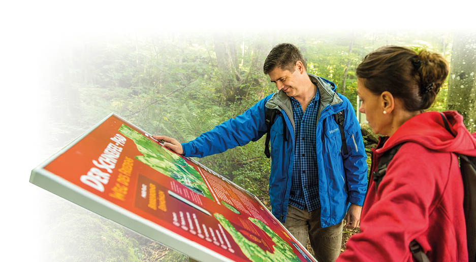 Zwei Personen in Outdoor-Bekleidung lesen aufmerksam eine gro e Informationstafel in einem Waldgebiet. Beschreibung von KI generiert