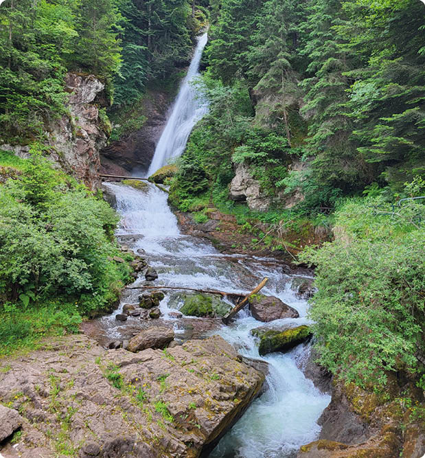 Ein Wasserfall flie t durch eine felsige Landschaft umgeben von dichtem, gr nem Wald. Beschreibung von KI generiert