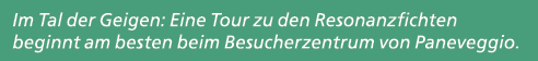 Im Tal der Geigen: Eine Tour zu den Resonanzfichten beginnt am besten beim Besucherzentrum von Paneveggio.