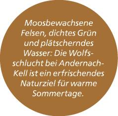 Moos­bewachsene Felsen, dichtes Gr n und pl tscherndes Wasser: Die Wolfsschlucht bei Andernach Kell ist ein erfrische...