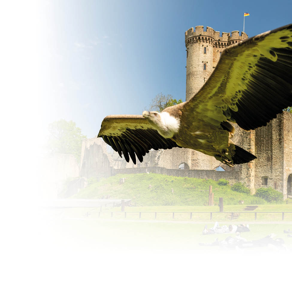 Ein gro er Vogel mit ausgebreiteten Fl geln fliegt vor einer mittelalterlichen Burg mit einem runden Turm und einer kleinen Flagge. Beschreibung von KI generiert