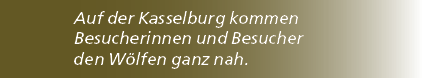 Auf der Kasselburg kommen Besucherinnen und Besucher den W lfen ganz nah. 