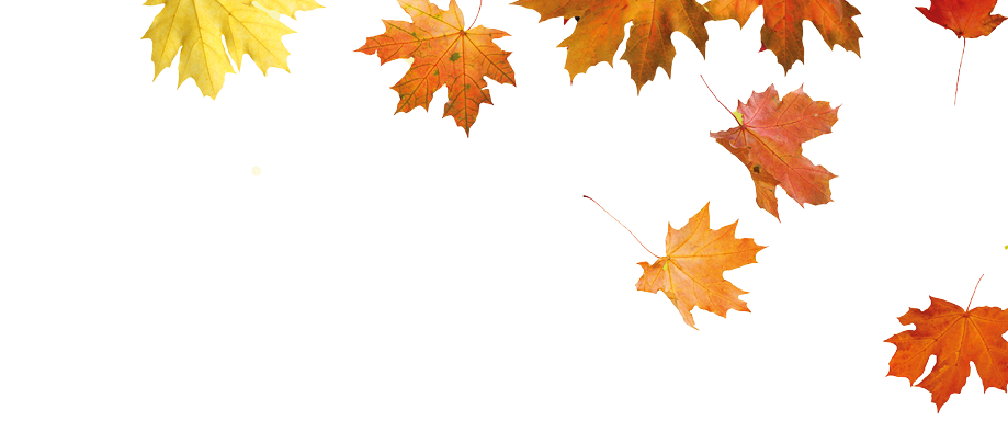 Bunte Herbstbl tter in Gelb, Orange und Rot fallen auf einen wei en Hintergrund. Beschreibung von KI generiert