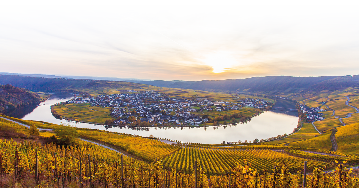 Ein Fluss schl ngelt sich in einer weiten Landschaft mit Weinbergen und einem Dorf bei Sonnenuntergang. Beschreibung von KI generiert