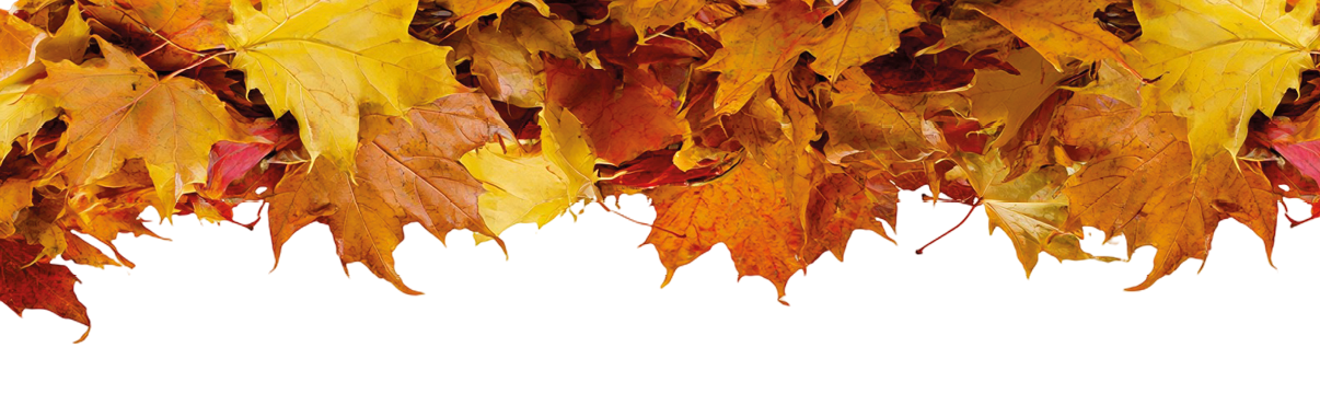 Bunte Herbstbl tter fallen sanft auf einen Haufen am unteren Bildrand vor wei em Hintergrund. Beschreibung von KI generiert
