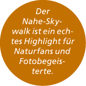 Der Nahe Skywalk ist ein echtes Highlight f r Naturfans und Fotobegeisterte.