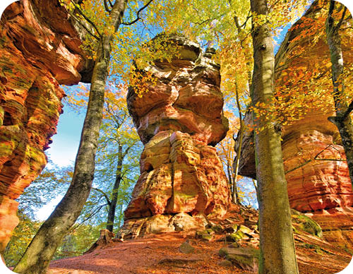 Hohe, rot-orange Felsformationen stehen in einem herbstlichen Wald mit B umen, deren Bl tter gelb und gr n leuchten. Beschreibung von KI generiert